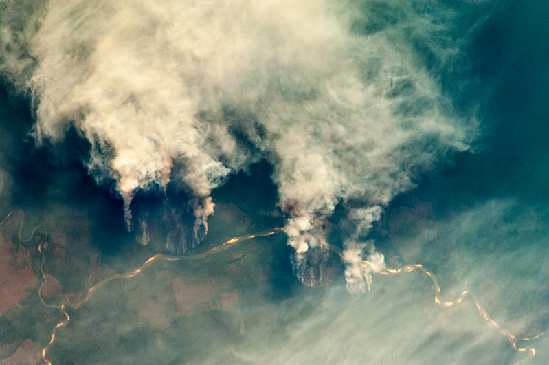 File:ISS029-E-008032 Fires along the Rio Xingu - Brazil.jpg